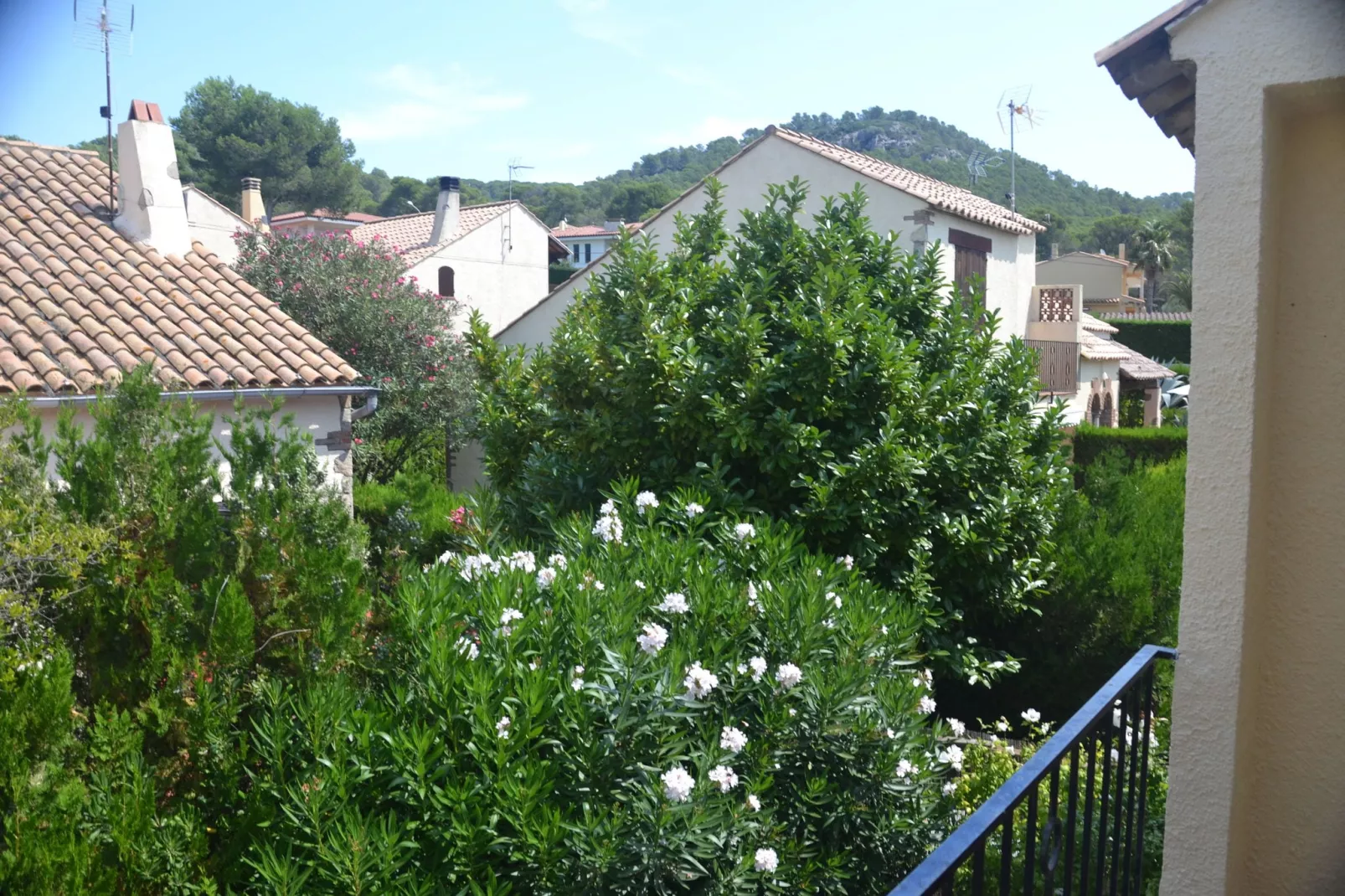 Les Oliveres 32-Gardens summer