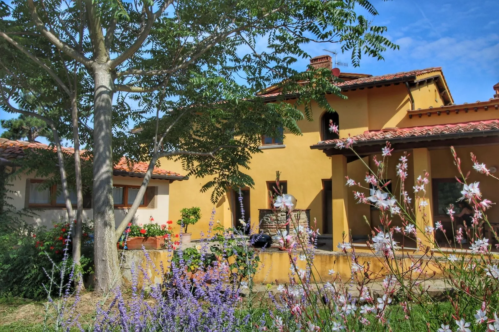 Podere Pulicciano Pozzo-Exterior summer