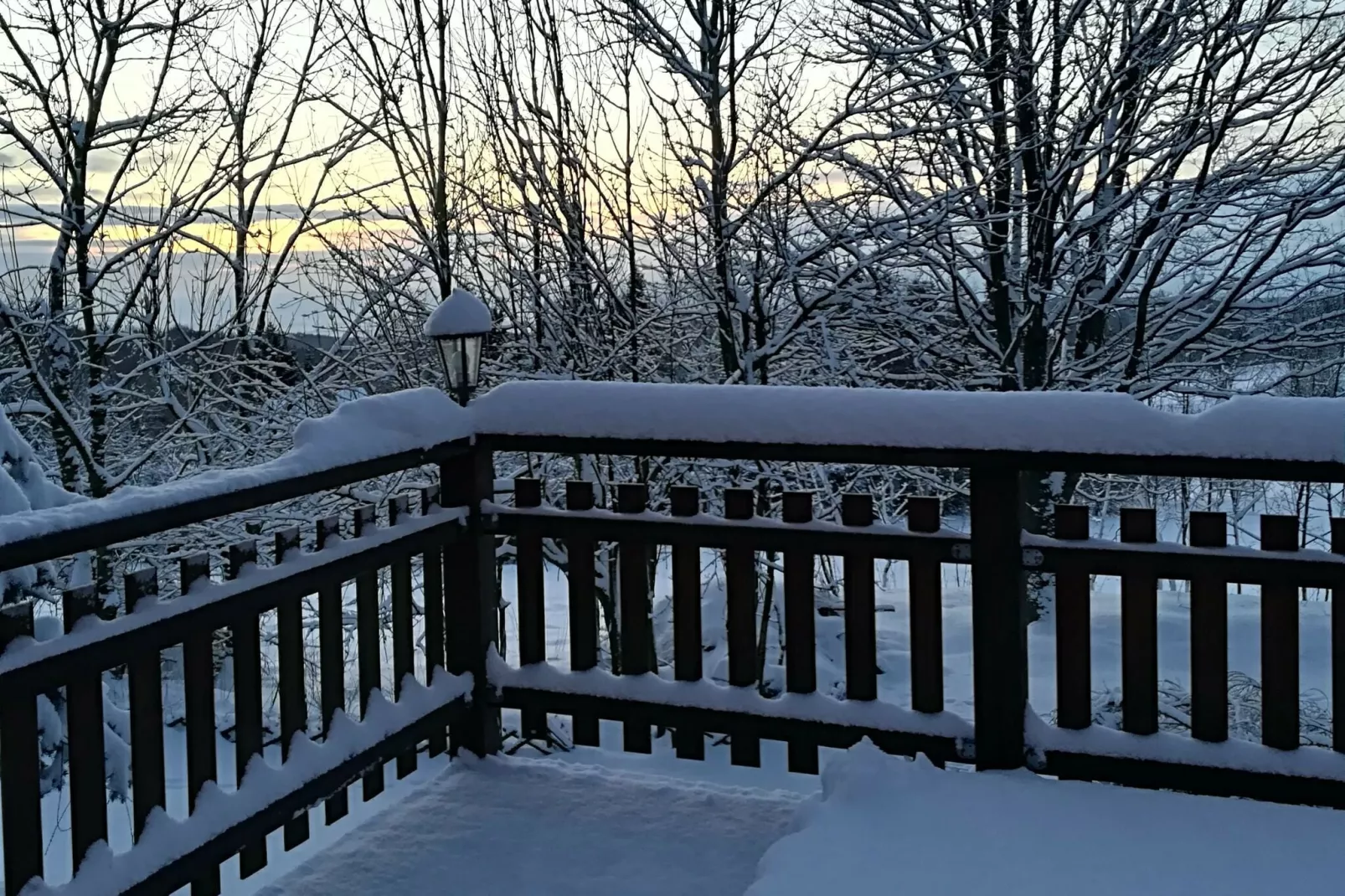 Stela-View winter