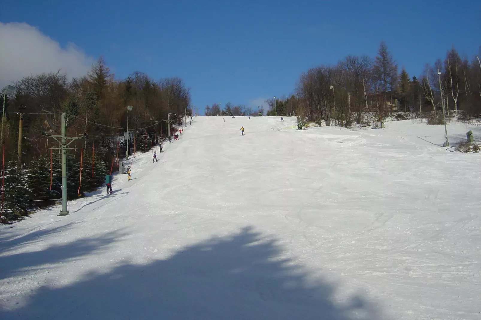Stela-Area winter 1km
