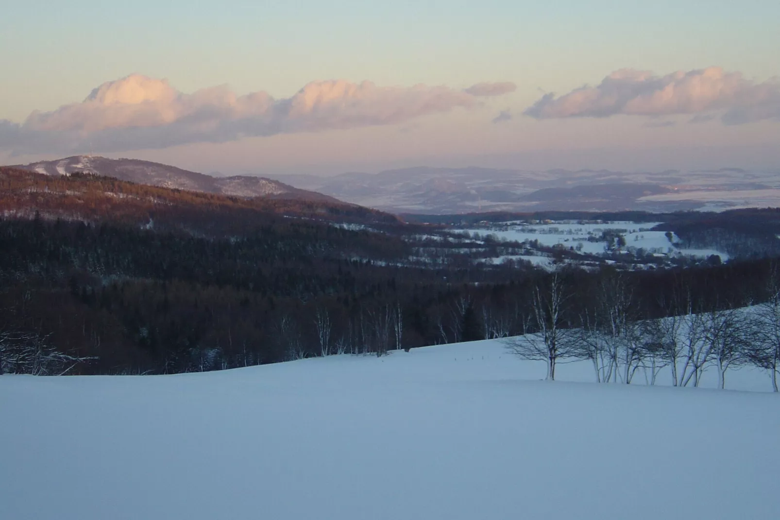 Stela-Area winter 1km