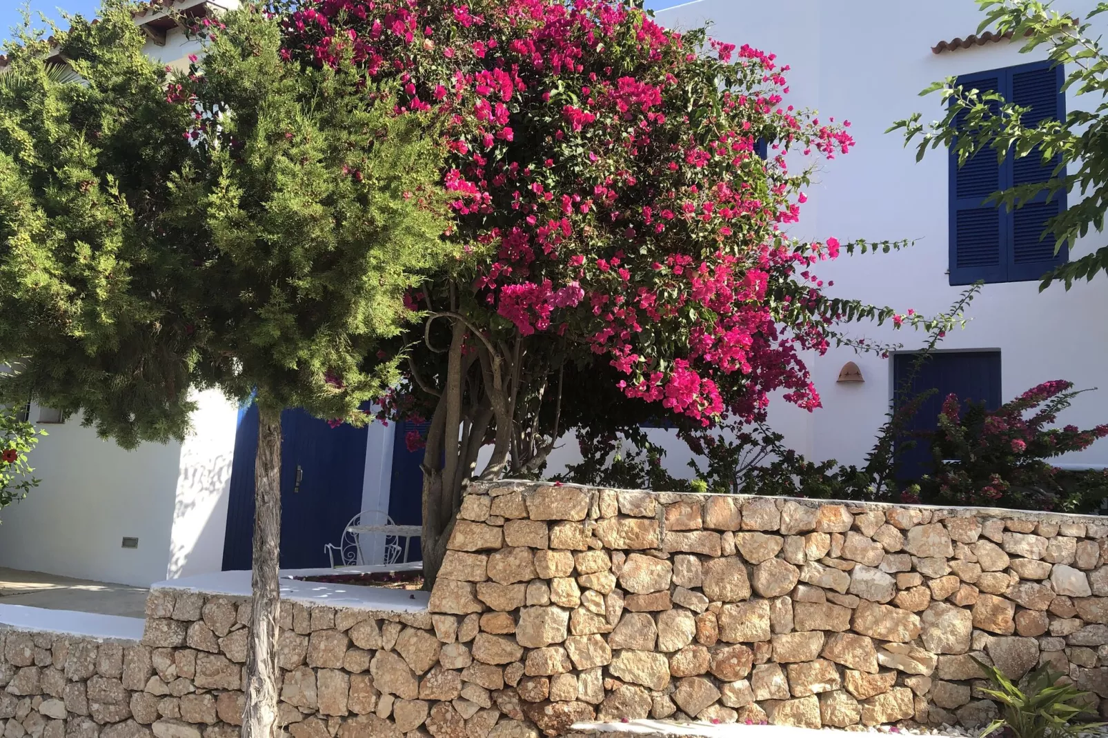 Es Queixal-Gardens summer