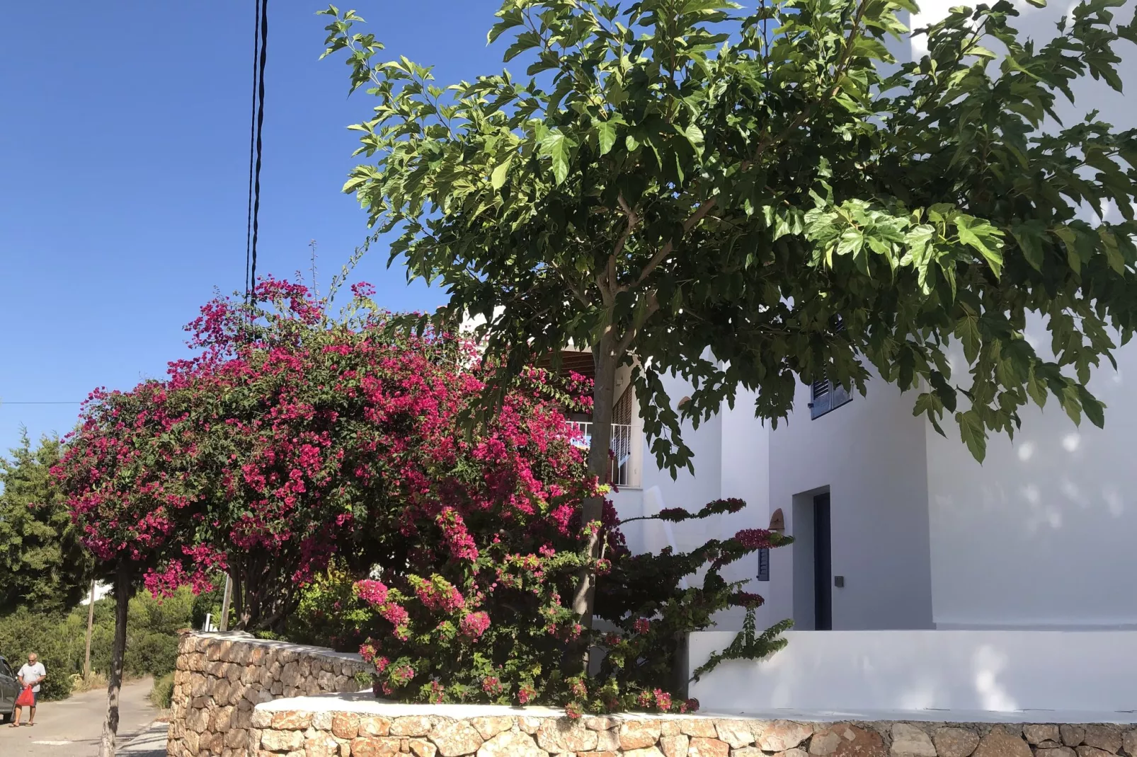 Es Queixal-Gardens summer