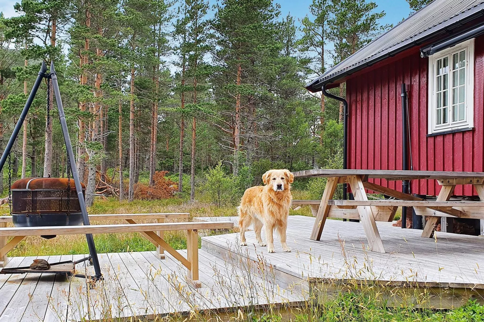 56762 LANGNESET-Outdoor