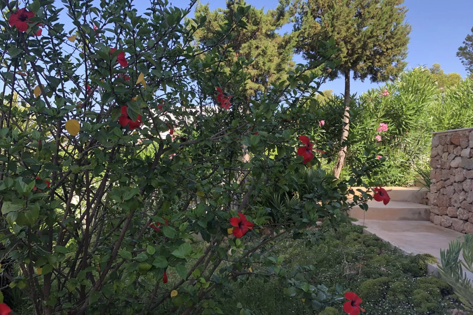 Es Queixal-Gardens summer