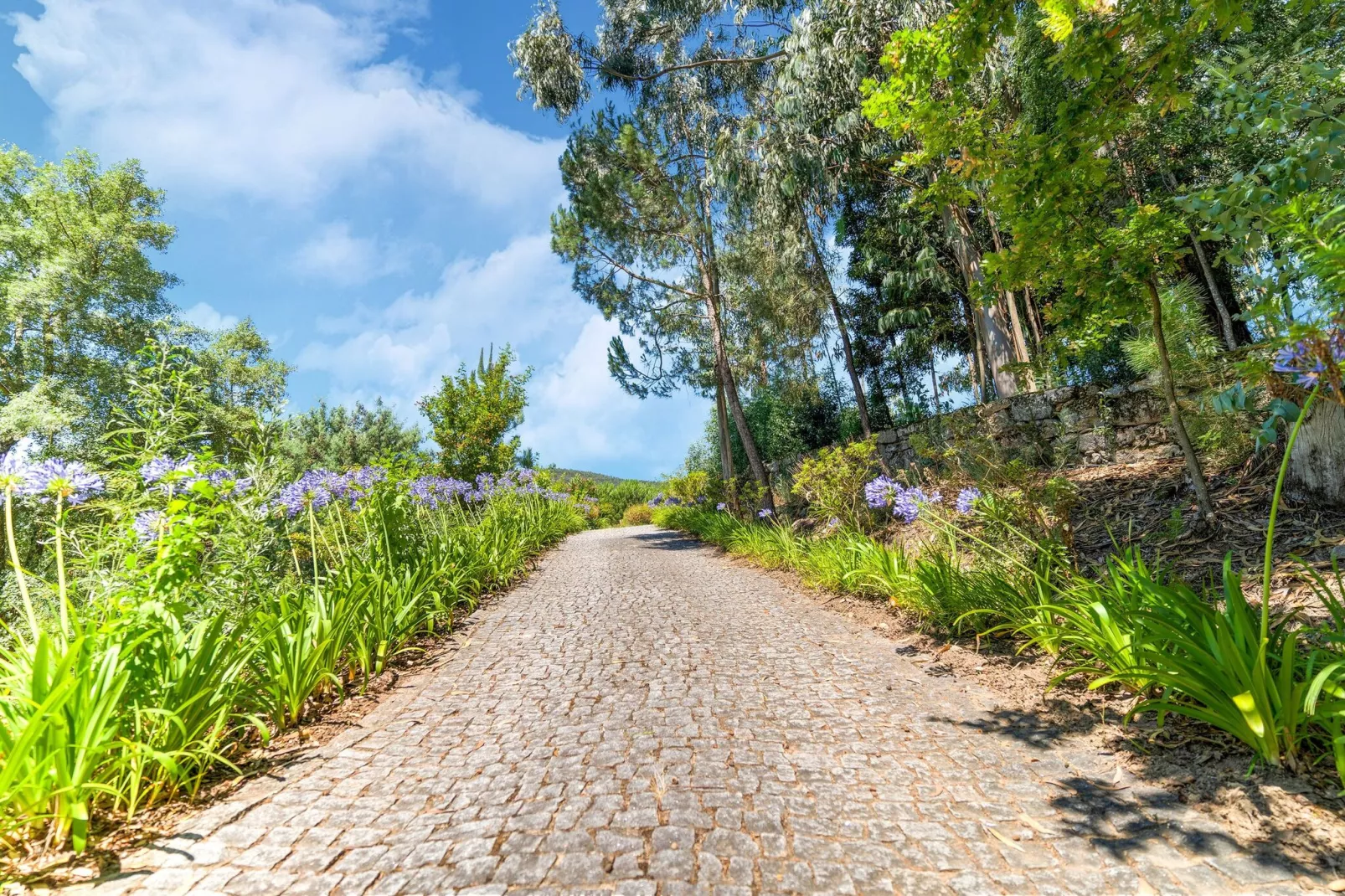 Casa das Laranjeiras-Areas summer 1km