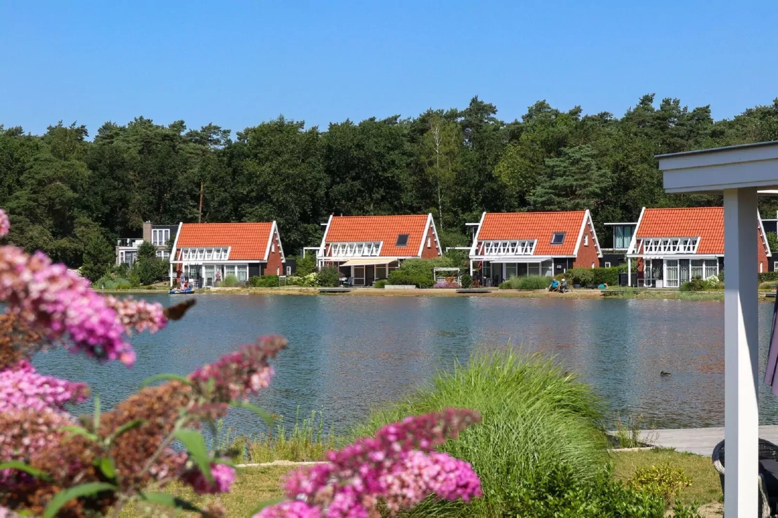 Resort De Zanding 5-Areas summer 1km