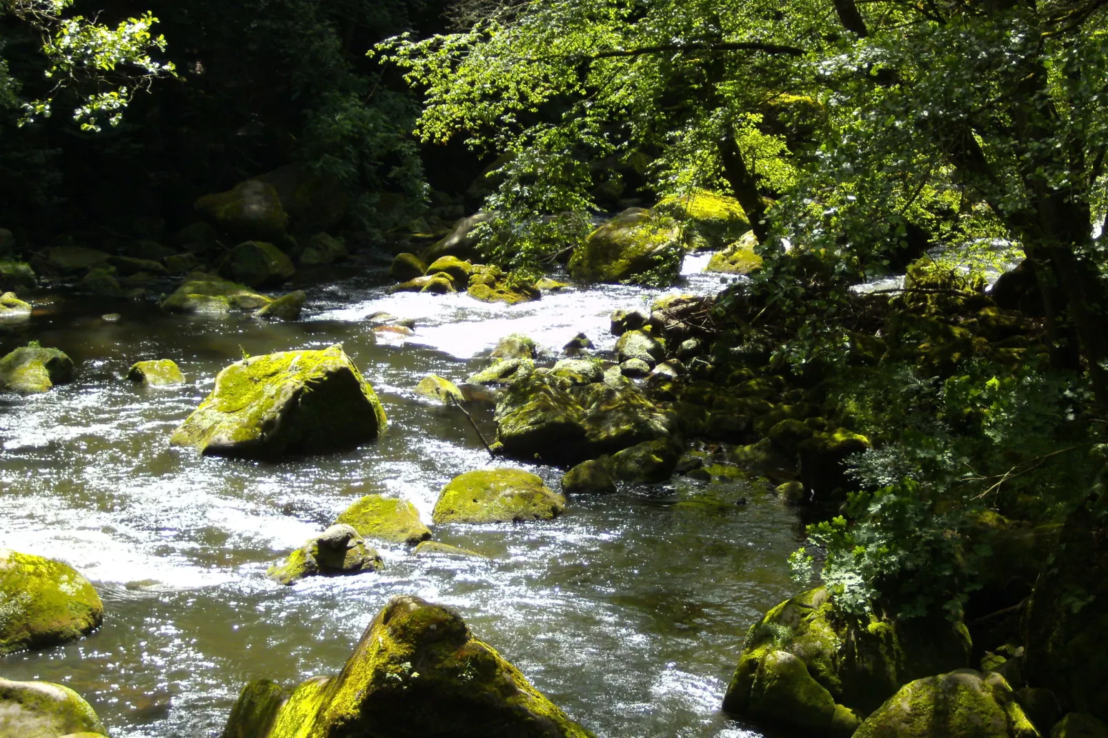 Am Schäferhof-Areas summer 20km