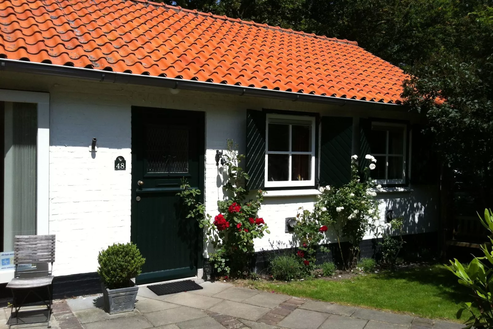 Zeeroos-Exterior summer