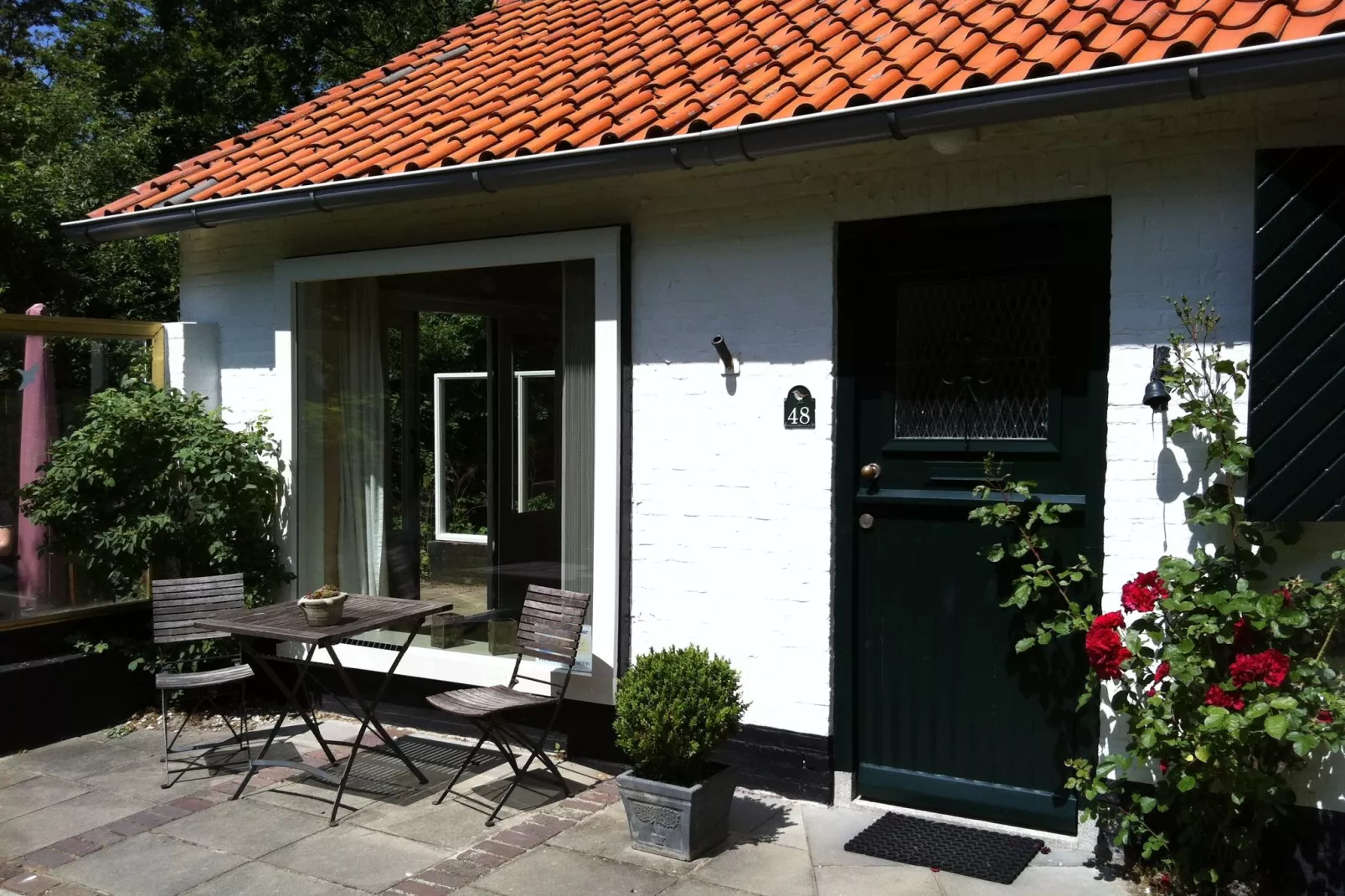 Zeeroos-Exterior summer