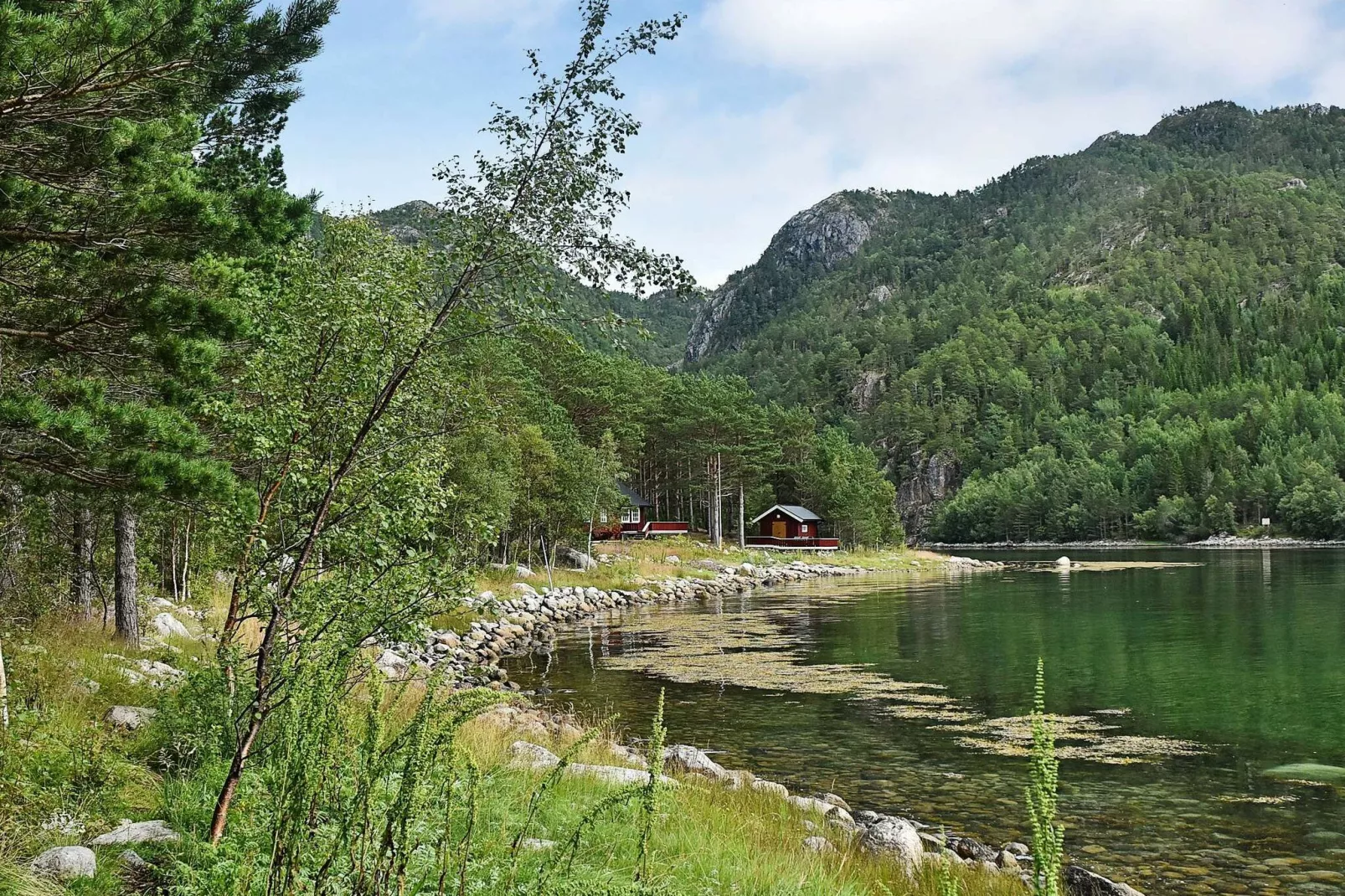 56762 LANGNESET-Not tagged