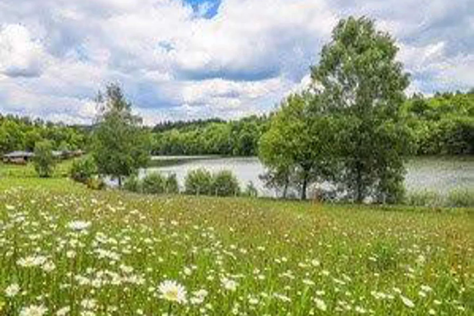 Le Domaine des Monédières-Außenbereich Sommer