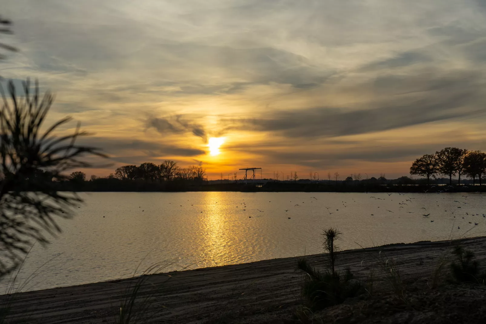 Resort aan de Maas 7-Gebiete Sommer 5 km