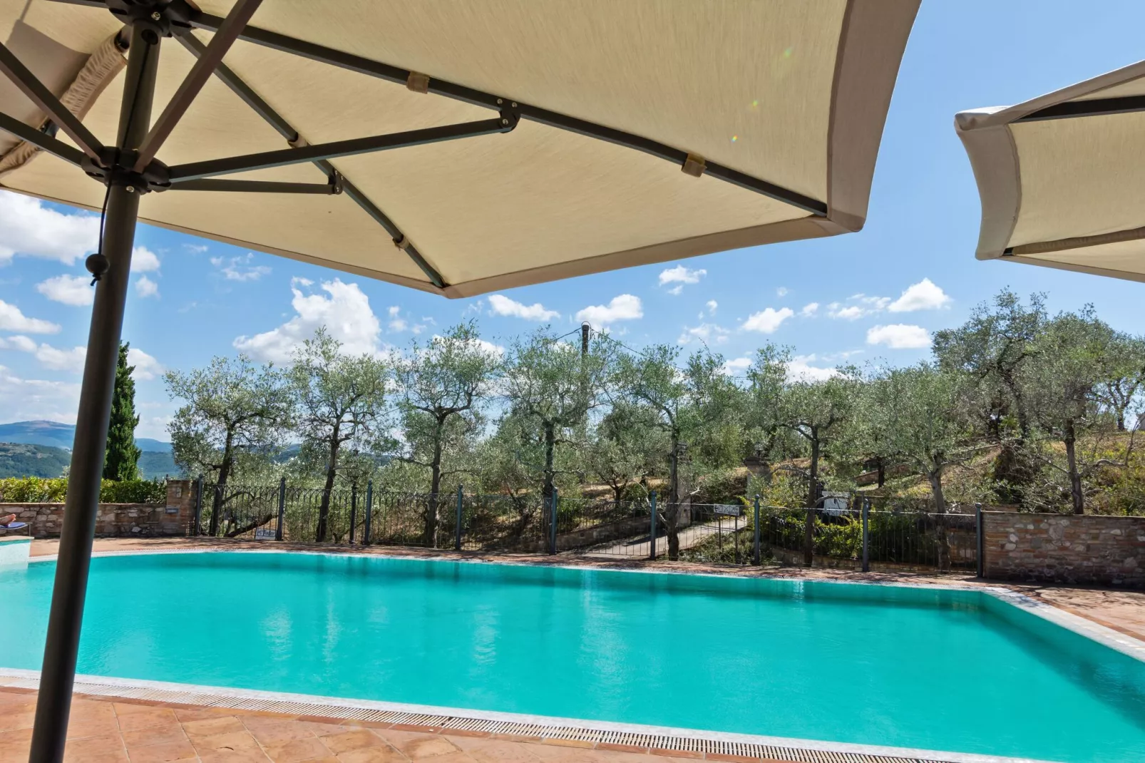 Bilo3-Pool