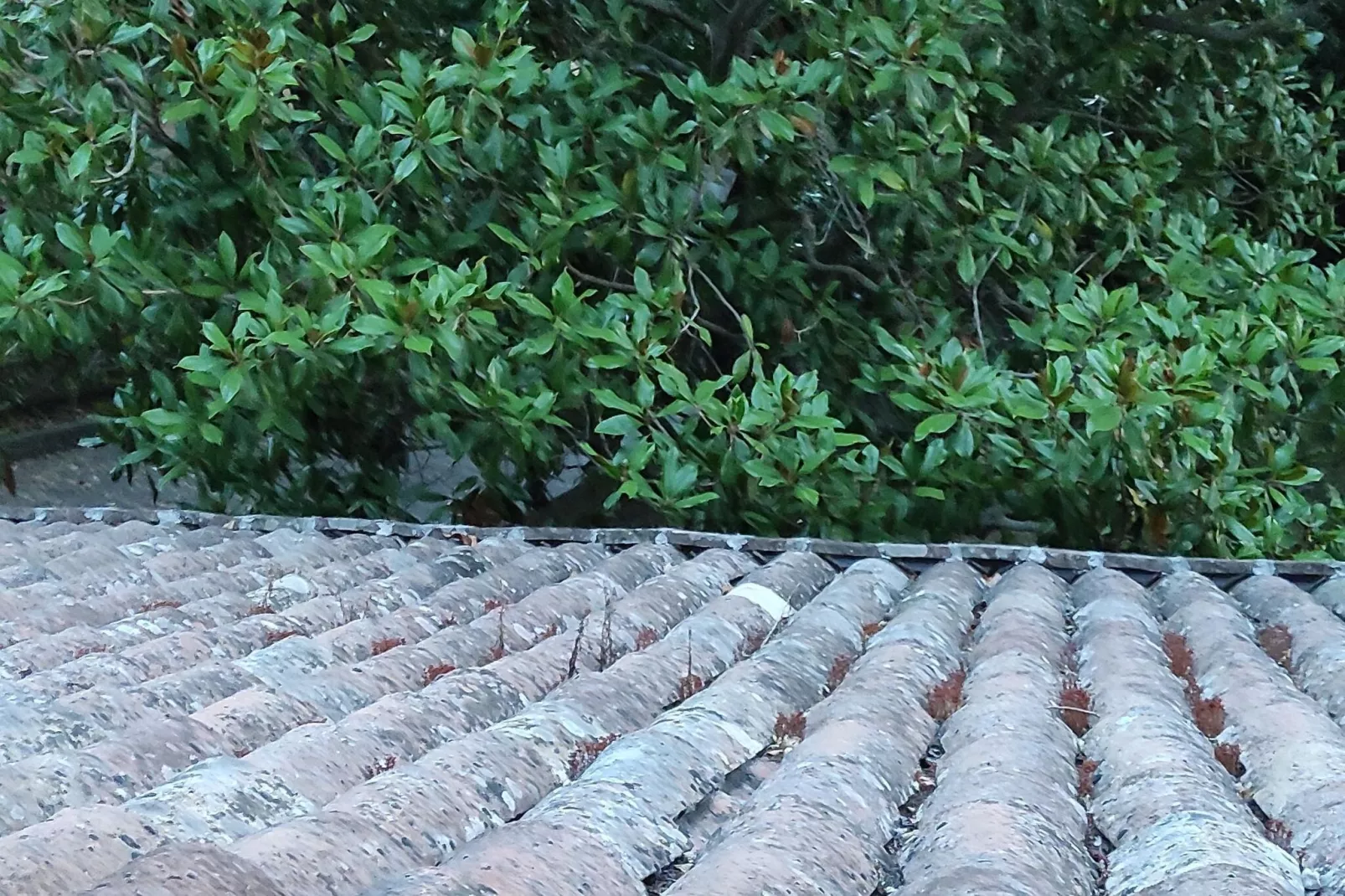 Villa di Maria Laura
