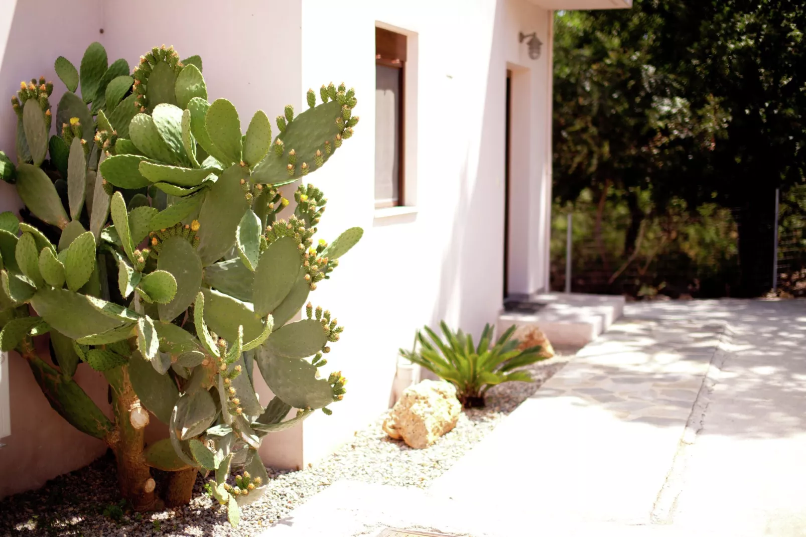 Villa Eleonora-Exterior summer