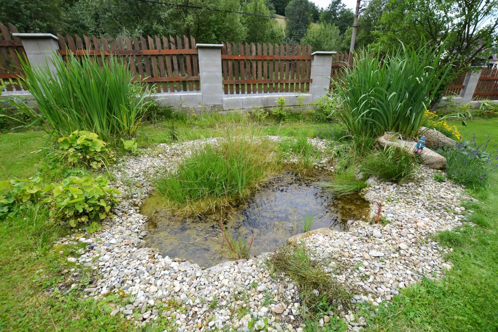 Monika-Gardens summer