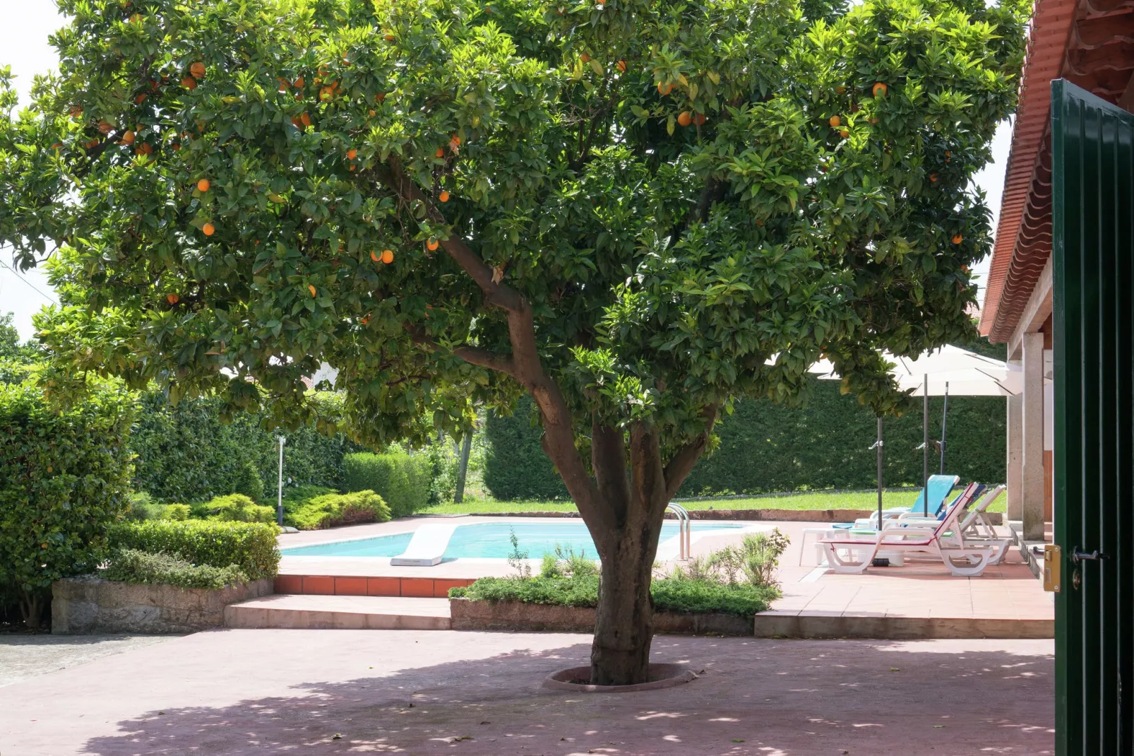 Casa da Castanheta-Gardens summer