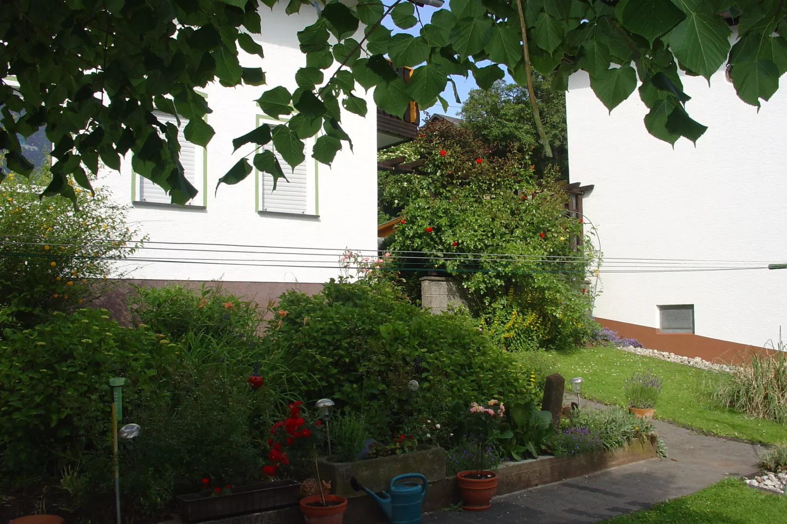 Ferienwohnung Waldeifel-Exterior summer