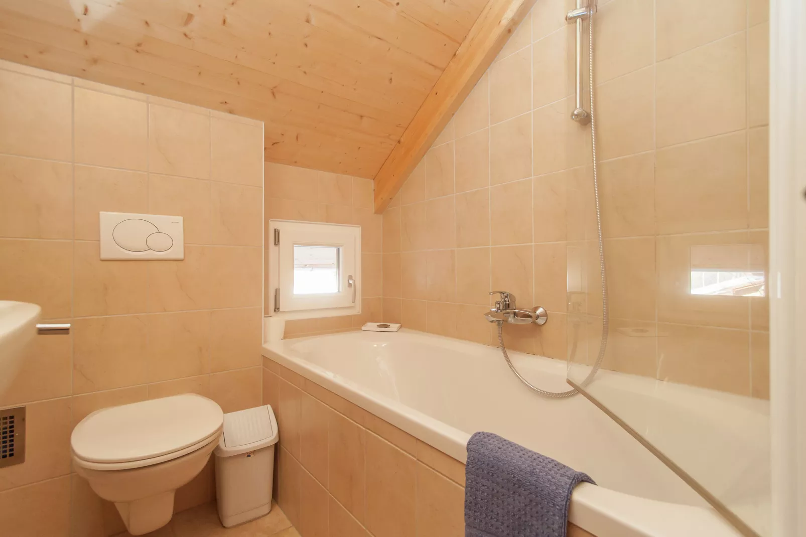 The Austrian Chalet-Bathroom