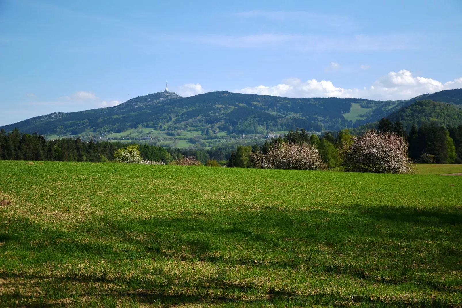 Vendy-Areas summer 1km