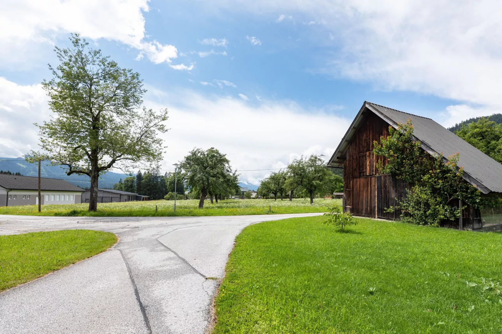 Ferienhaus Salfelner-Areas summer 1km