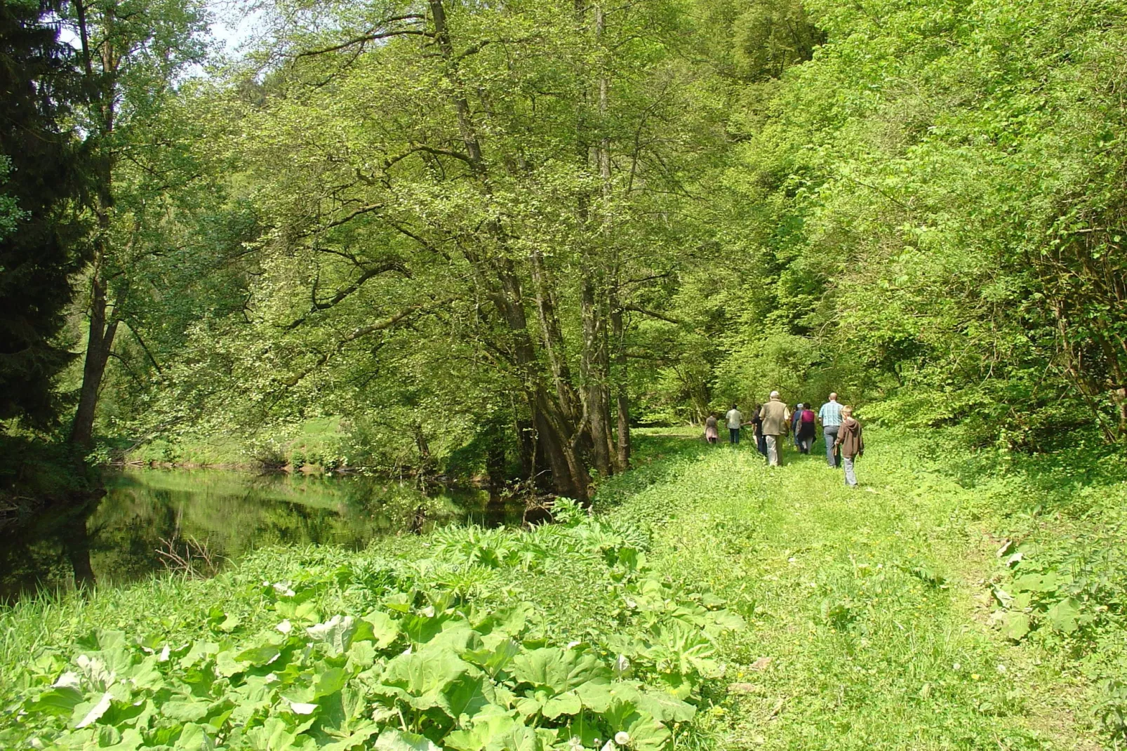 Ferienwohnung Waldeifel-Areas summer 5km