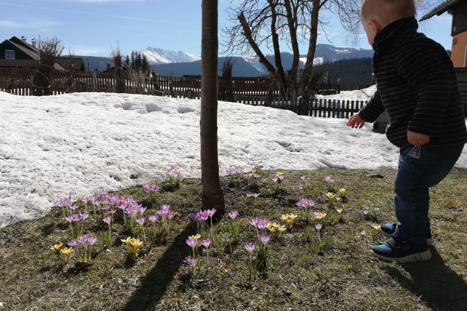 Ferienhaus Salfelner-Garden winter