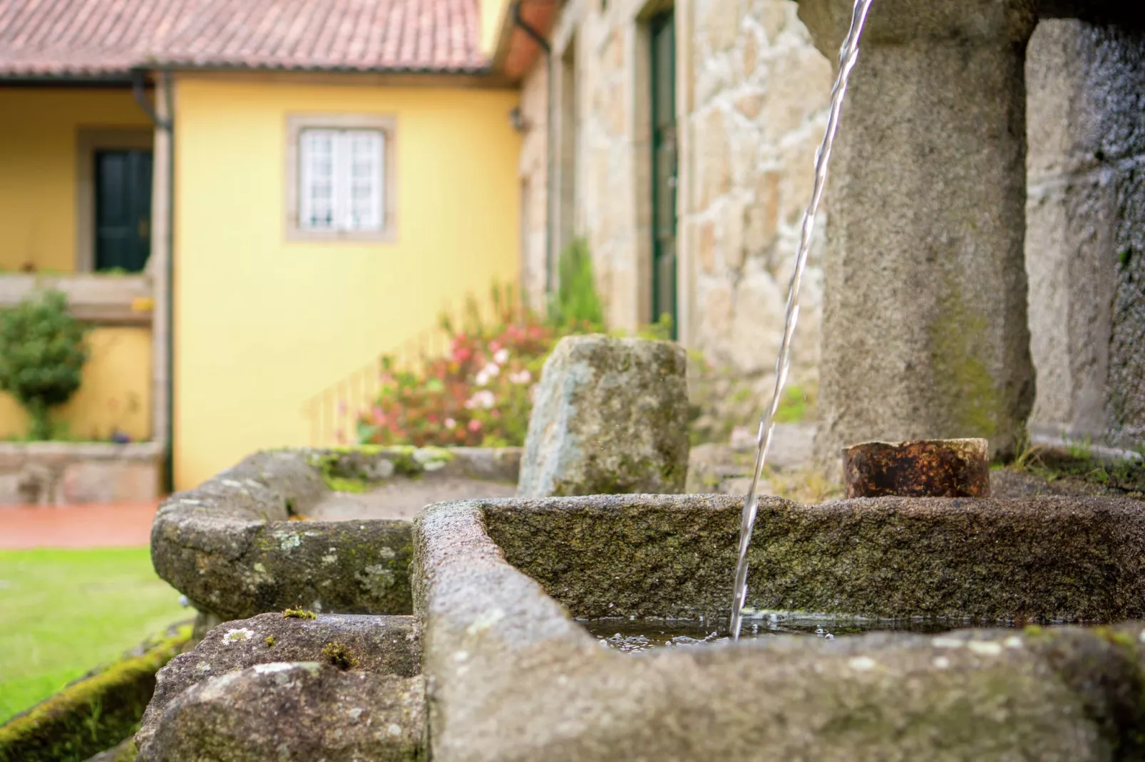 Casa do Pelourinho-Gardens summer