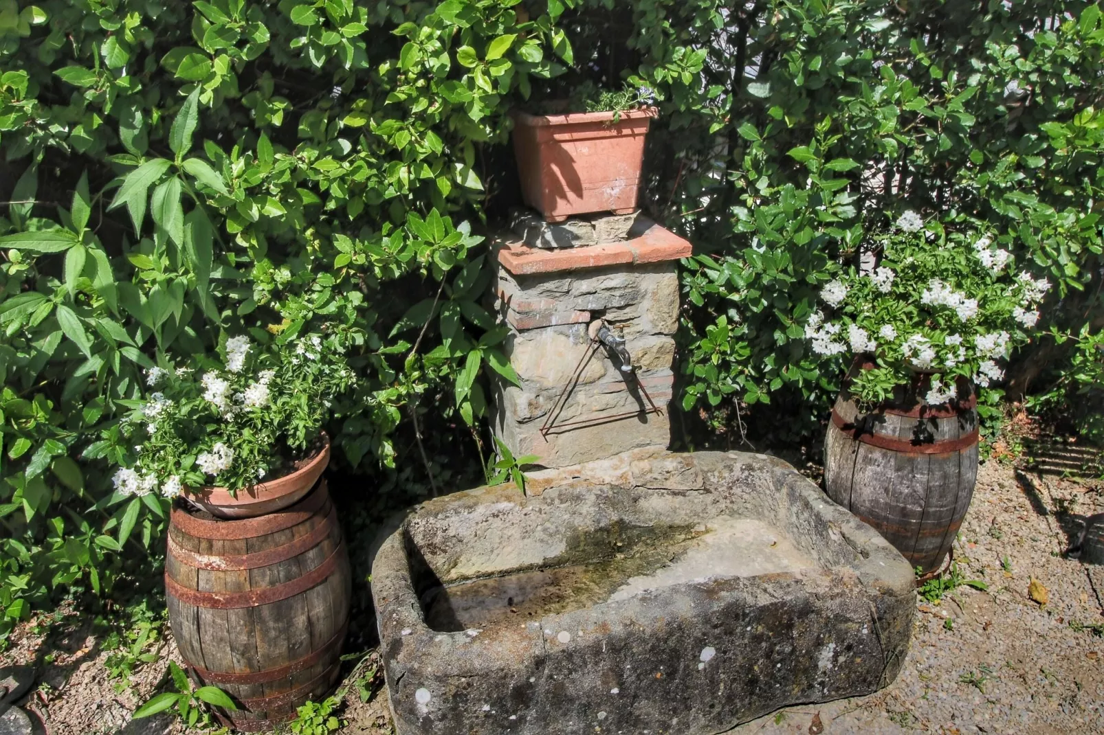 Podere Pulicciano-Atmosphere