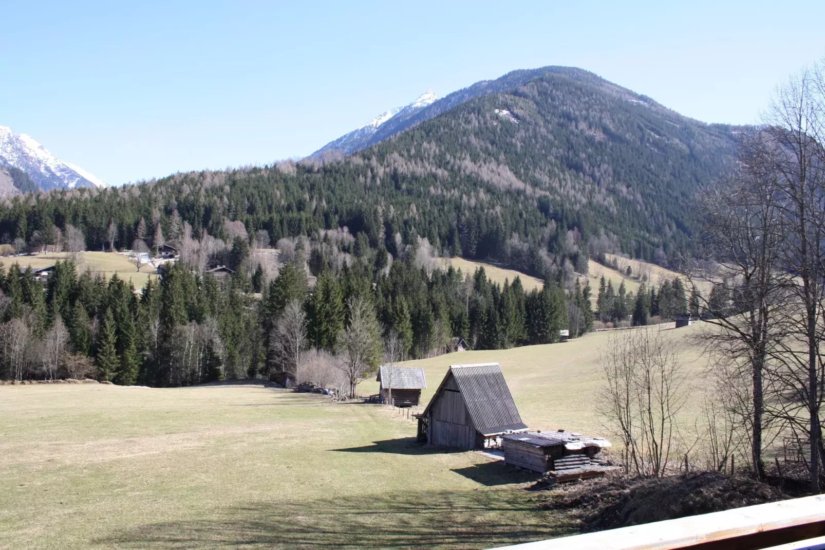 Appartement Mitterberg-View summer