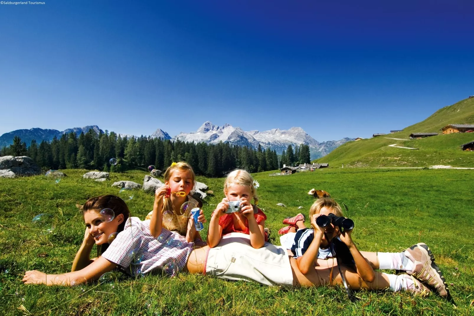 Appartement Mitterberg-Areas summer 20km