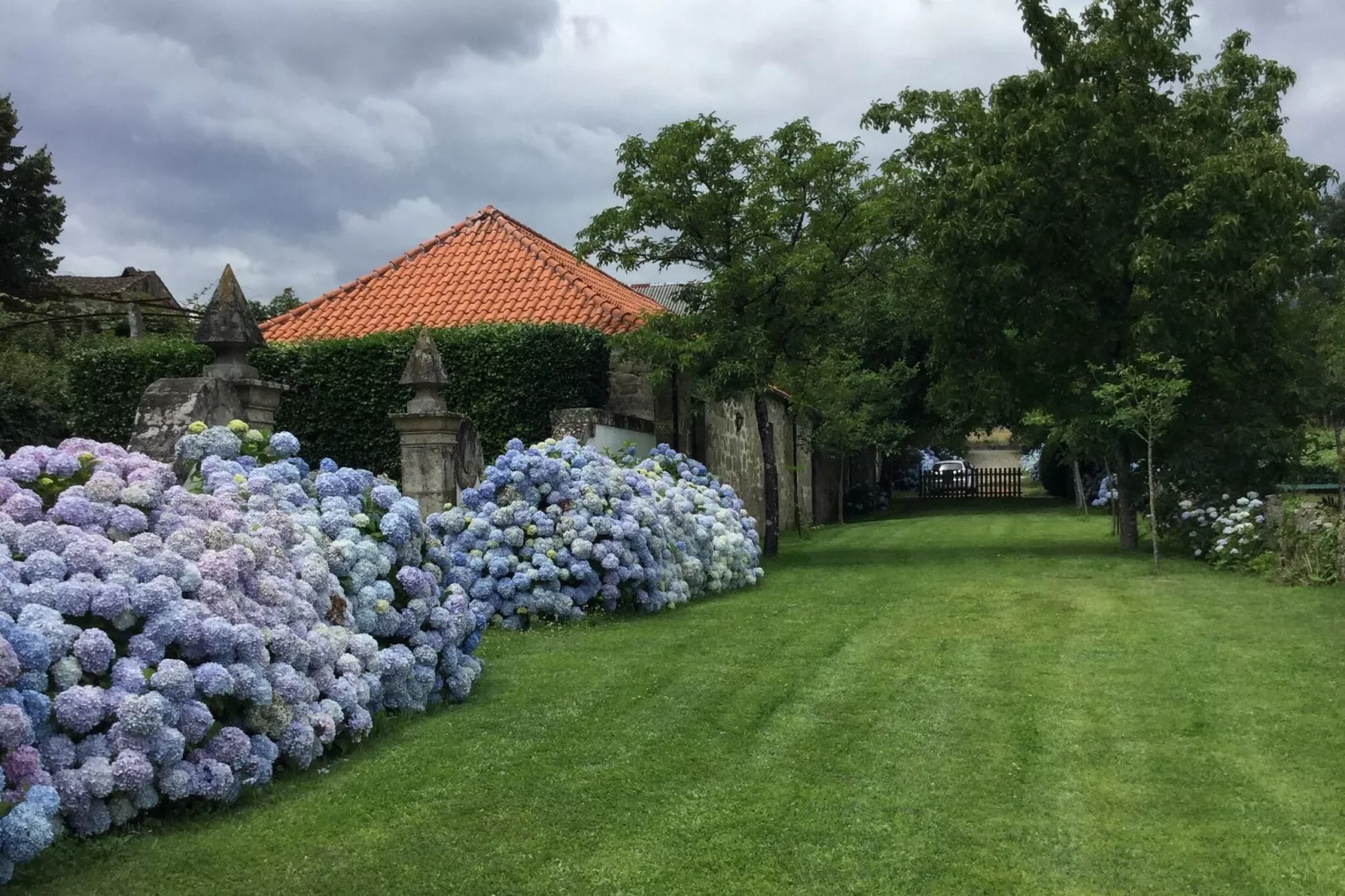 Casa do Tanque-Gardens summer