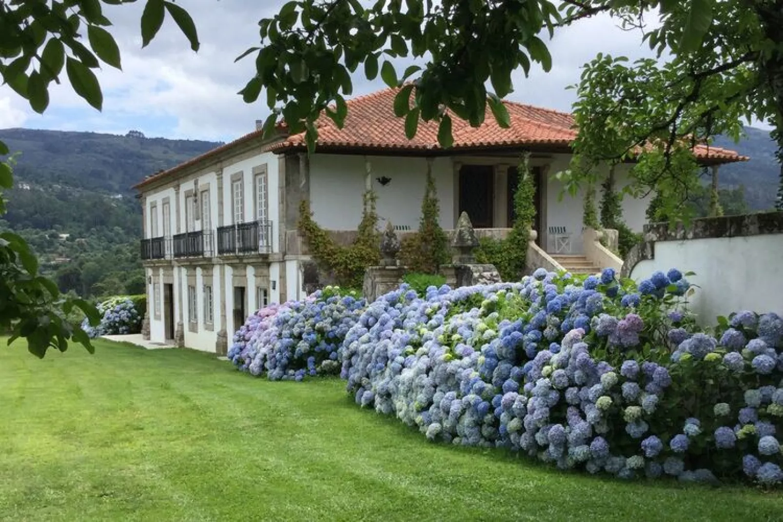 Casa do Tanque-Gardens summer