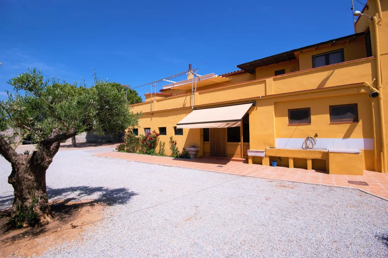 Mas Lacosta-Exterior summer