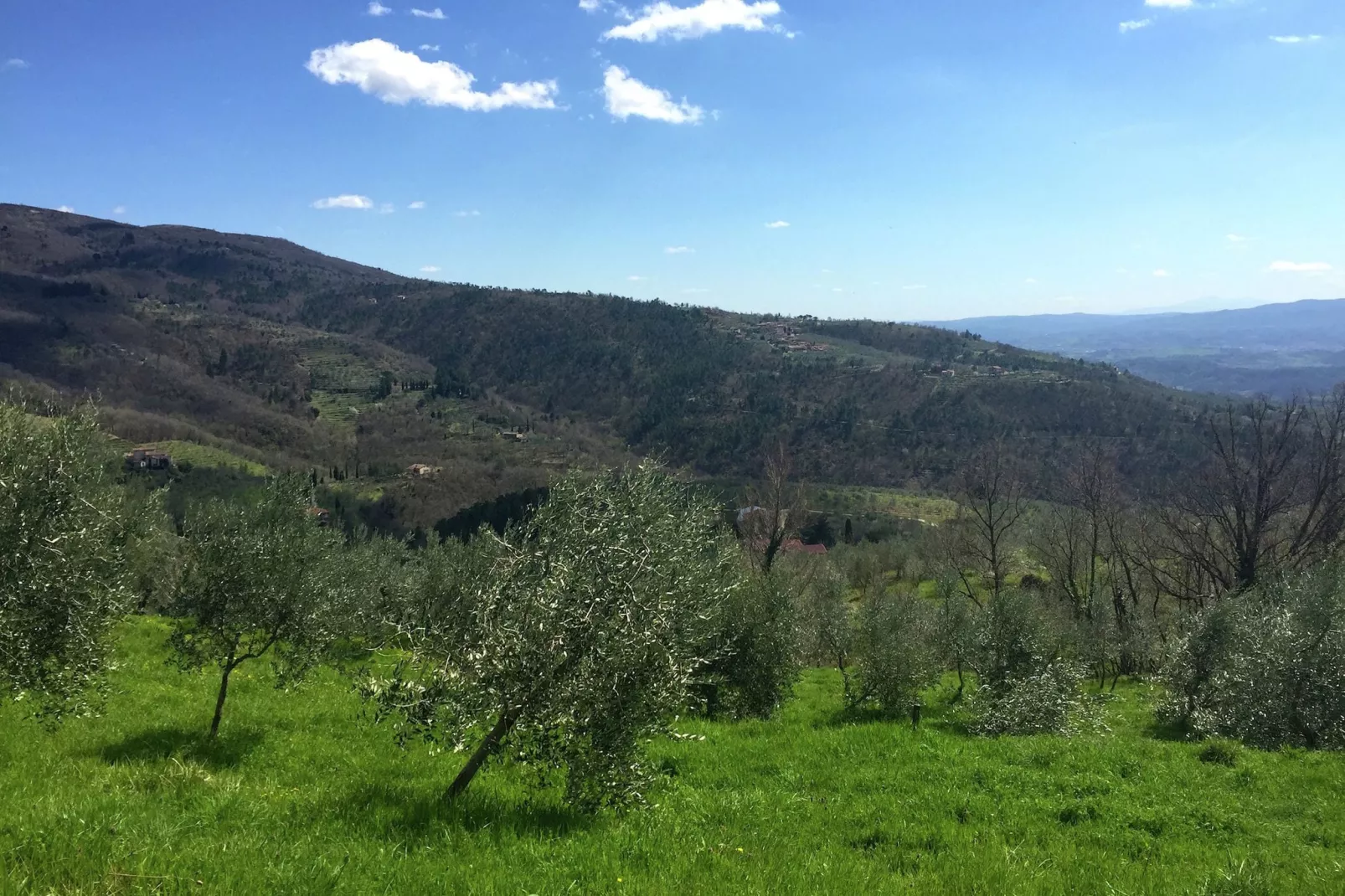 Gelso-Areas summer 5km