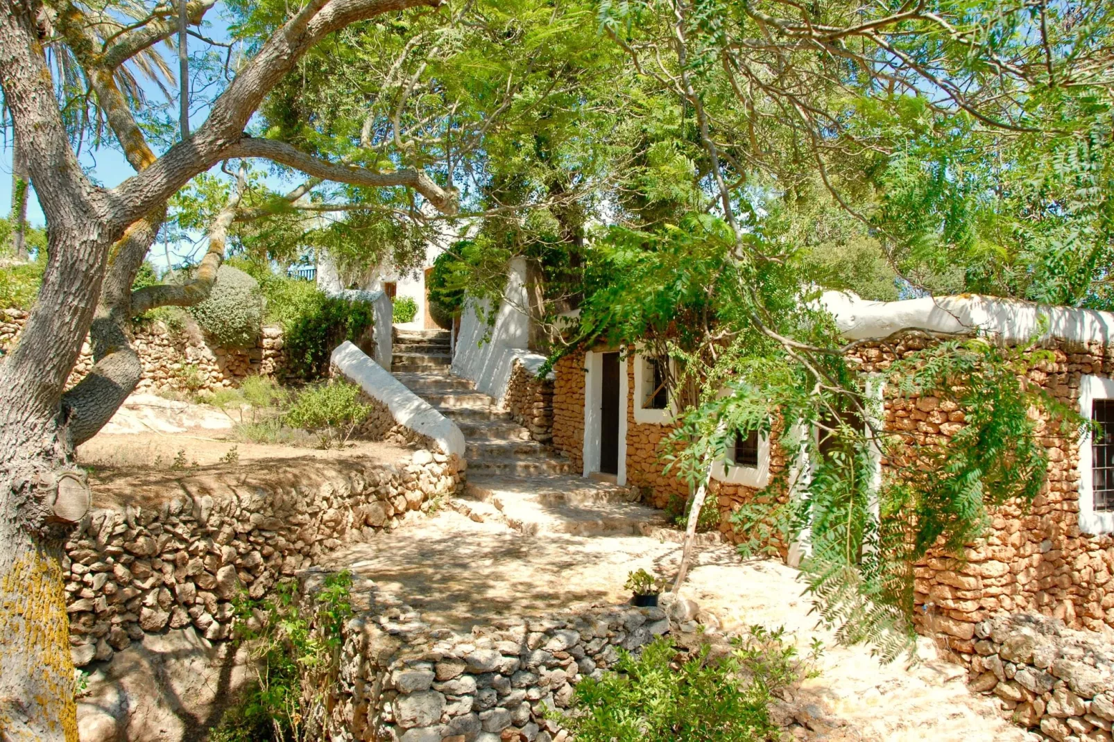 Finca Planetas-Exterior in summer