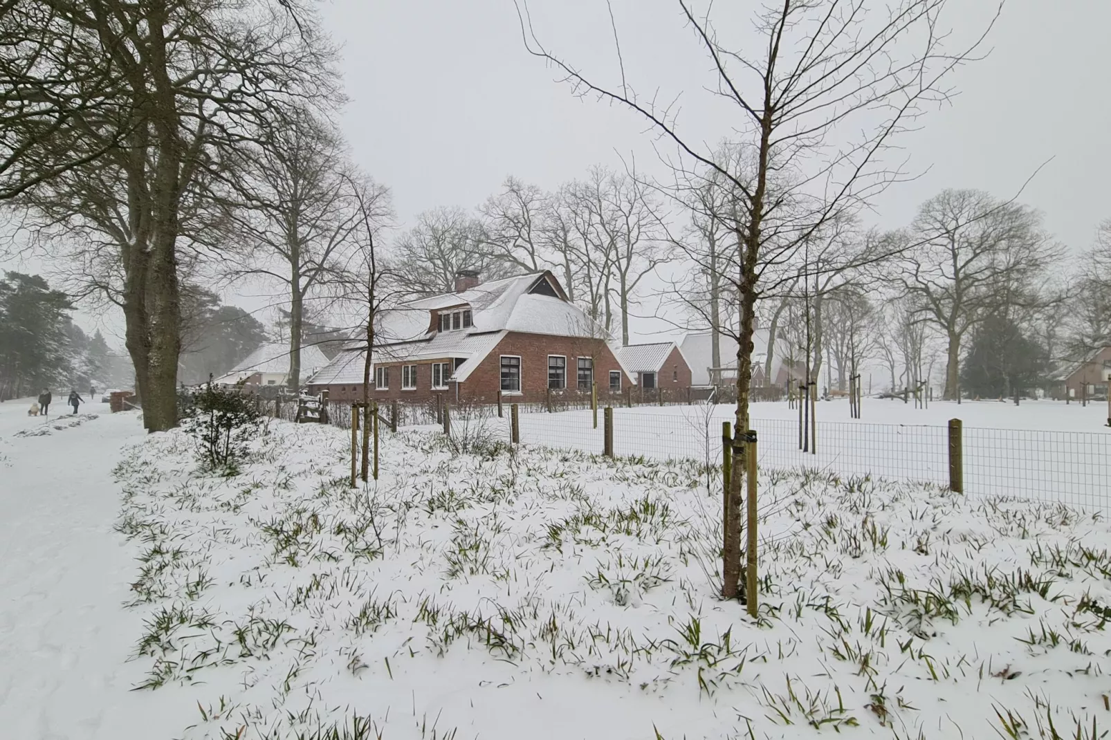 Erve Olde Sasbrink-Extérieur hiver