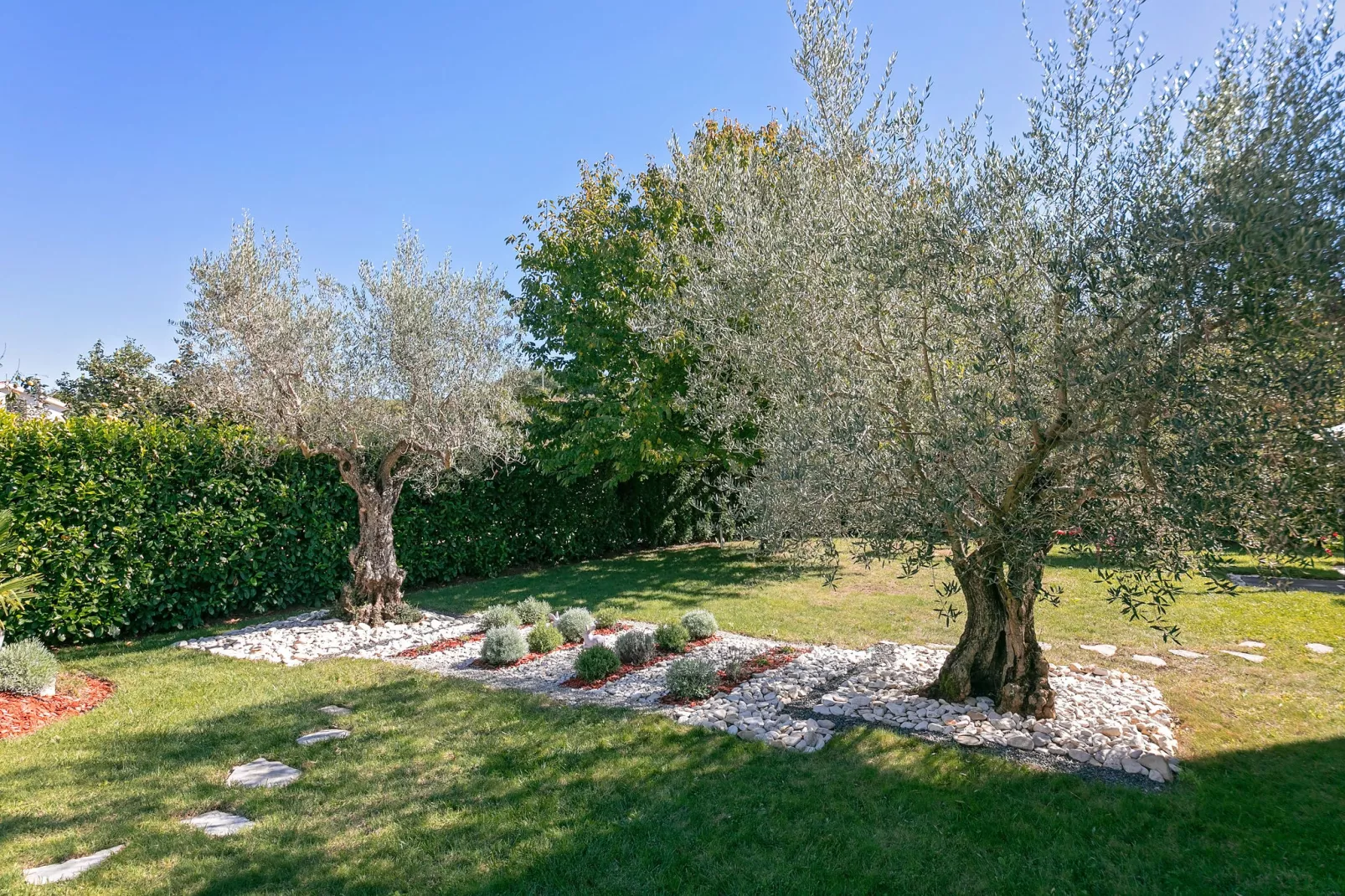 Villa Dani-Gardens summer