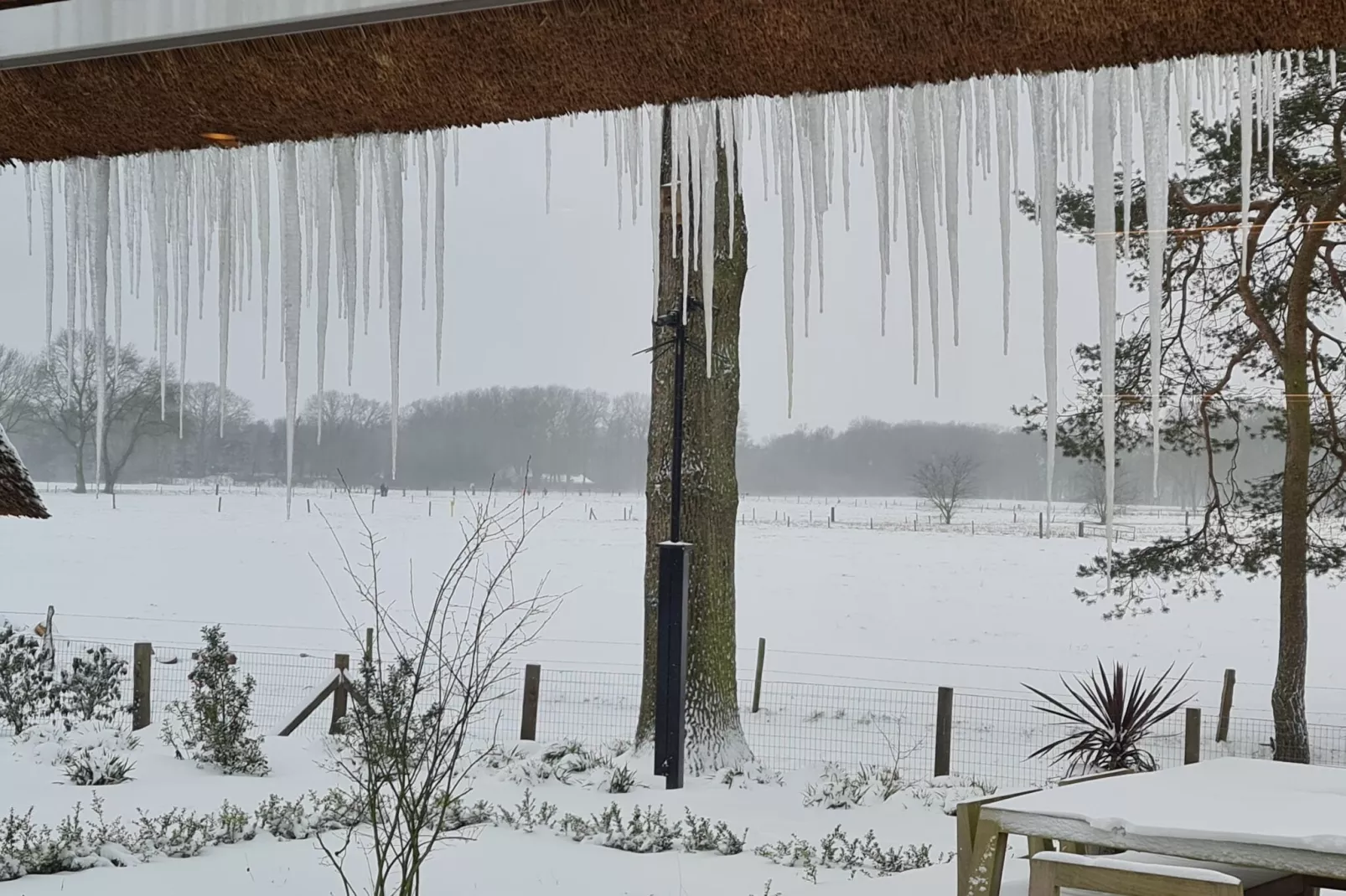 Erve Olde Sasbrink-Vue d'hiver