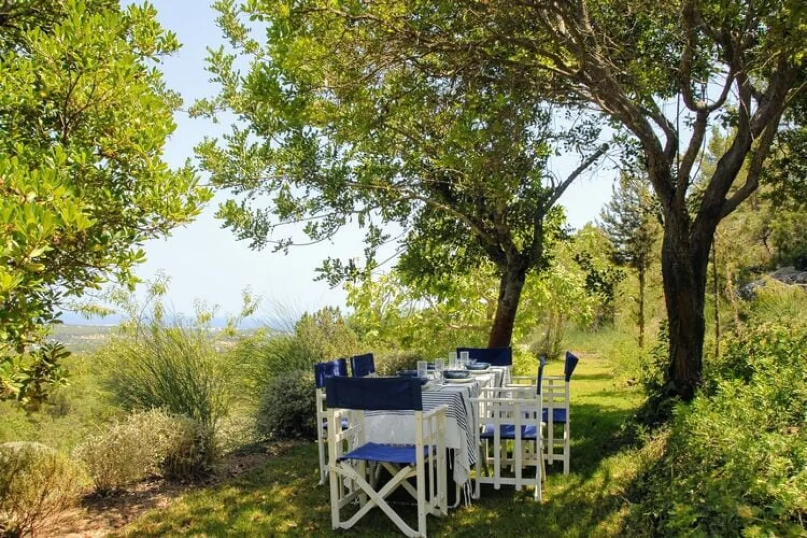 Finca Planetas-Gardens in summer
