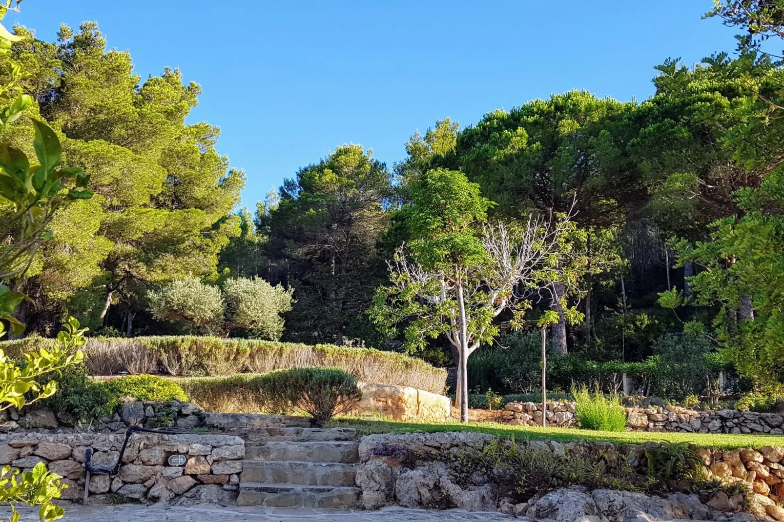 Finca Planetas-Gardens in summer