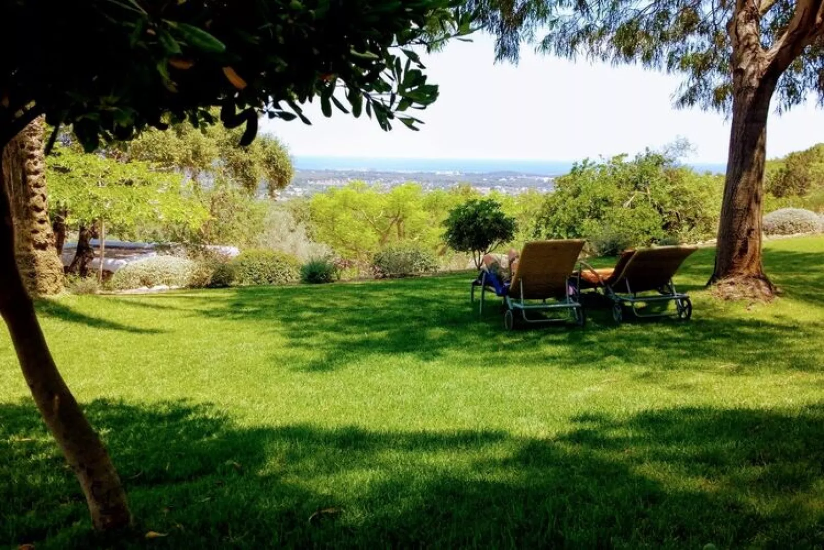 Finca Planetas-Gardens in summer