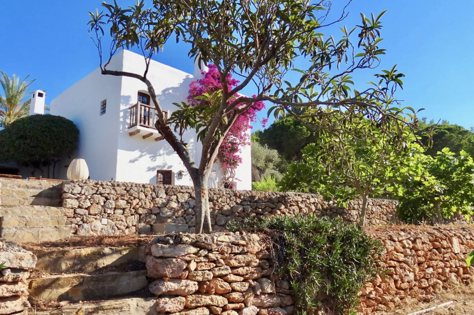 Finca Planetas-Gardens in summer