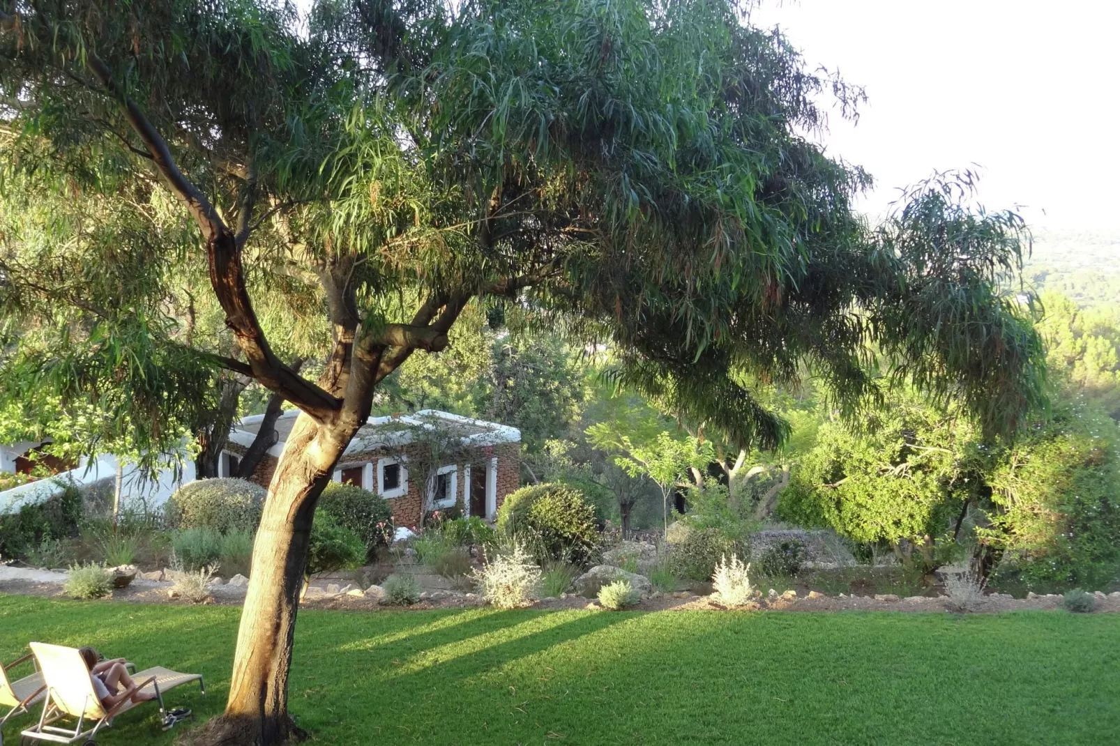 Finca Planetas-Gardens in summer