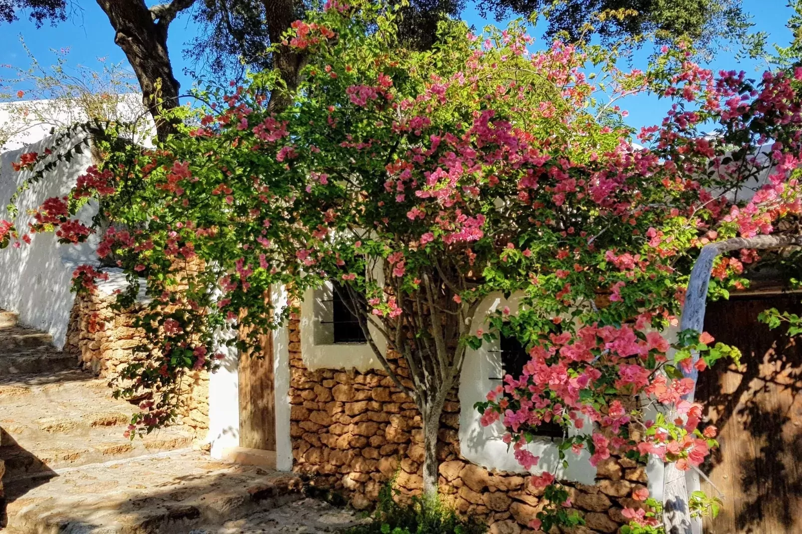 Finca Planetas-Areas within 1km in summer