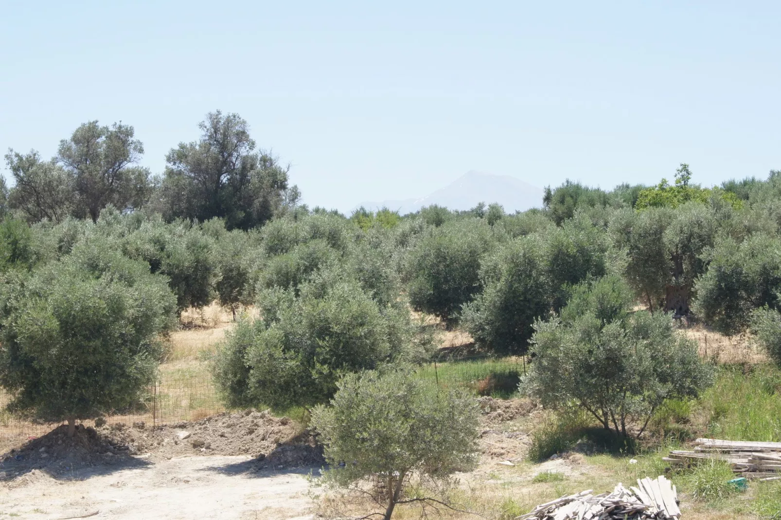 Villa Pelagia-Aussicht Sommer