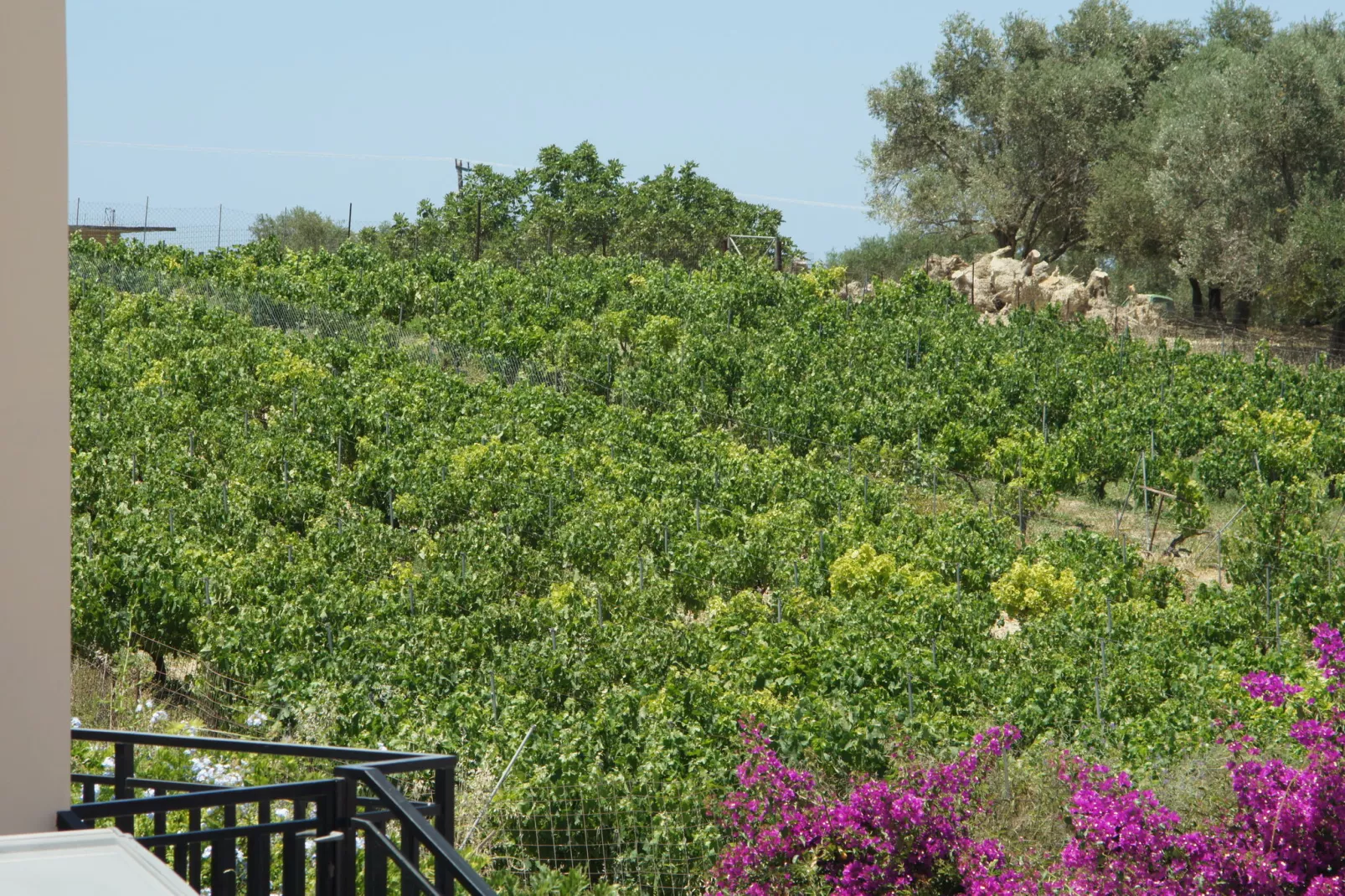 Villa Pelagia-Gebiete Sommer 1 km