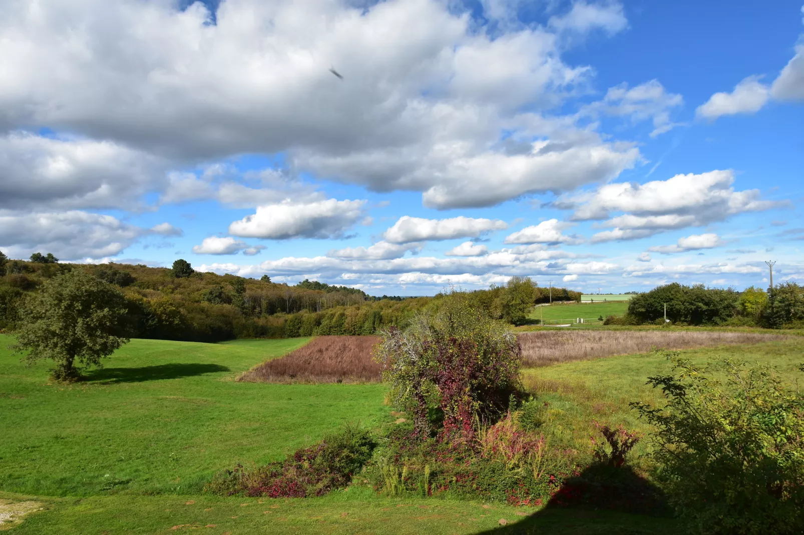 Maison de vacances - BESSE-Areas summer 5km