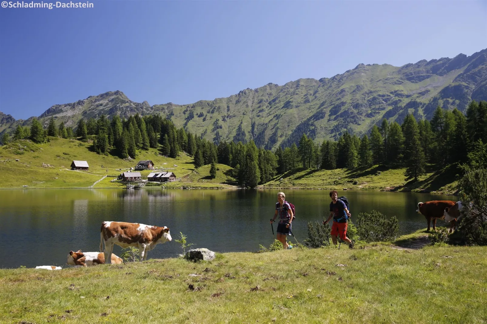 Alpenrock Schladming 4-Areas summer 20km